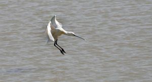 450 dsc 5929 1 a 450 dsc 5929 1 a