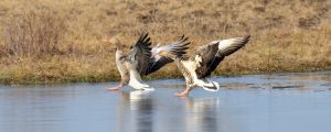 470 dsc 5382 a 470 dsc 5382 a