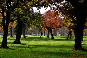 150   dsc b